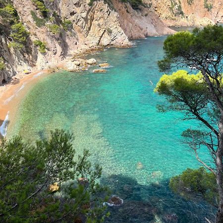 Zen Apartment Sea Views Tossa de Mar Exterior photo